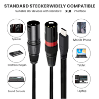 Adaptador USB Tipo C a 2 XLR Macho, Salida Estéreo, Amplificador, Conversor de Altavoz, Cable