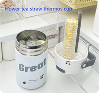 Théière compacte portable pour adultes en acier inoxydable 316, avec infuseur à fleurs séparé du liquide, pailles élégantes et isolation thermique