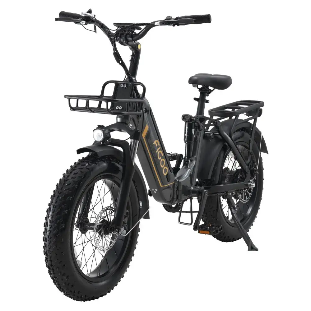 Langstrecke 48v 500w Dicke Reifen faltbarer 20-Zoll-Nabenmotor E-Bike Dual-Lithium-Batterie Elektro-Mountainbike mit Scheibenbremse