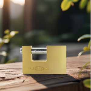 Candado de latón resistente con grillete de cierre de llave de gabinete de tres círculos de diseño especial recién llegado a la venta - Product Image 6