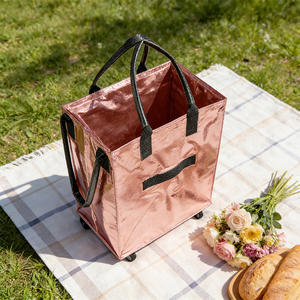 मल्टीफंक्शन ज्यामितीय किराना बैग पहियों के साथ शॉपिंग ट्रॉली फोल्डेबल रोलिंग टोटे शॉपिंग बैग - Product Image 1