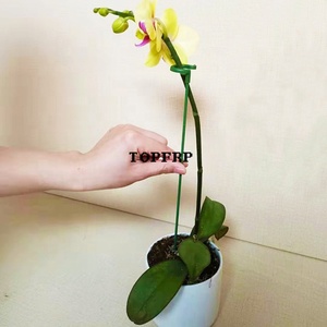 Garden Single Stemmed Plant Support <b>Rod</b> Flower Support Holder - Product Image 3