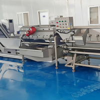 YouBan Automatische Vortex Wasmachine 1000-2000kg/uur Hoge Capaciteit Salade- en Groentewasser