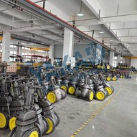 Válvula de Compuerta de Acero Inoxidable con Asiento Suave, Asiento de PTFE, Conexión Bridada, API600, para Medios Químicos, Petróleo y Gas