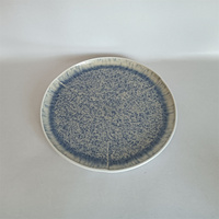 Dinner-Set Geschirrset Steinzeug Modernes Design mit Reaktivglasur
