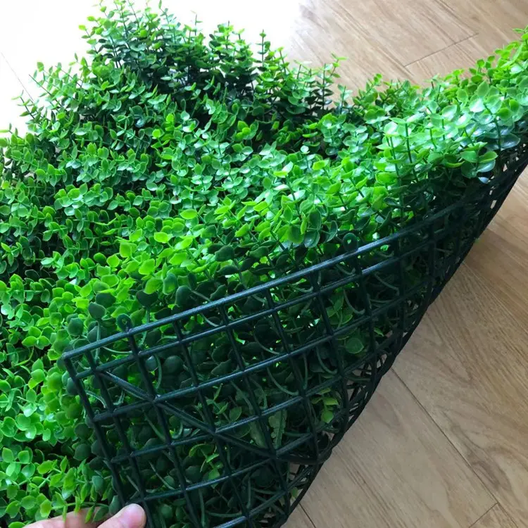 인공 플라스틱 creeper 회양목 울타리 이끼 잔디 실내 식물 수직 패널 잎 녹색 벽 시스템 장식 식물