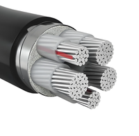 Kabel Inti Aluminium Berlapis PVC Berisolasi untuk Industri & Konstruksi Kelautan Tegangan Rendah