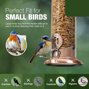 Ama-zon الأكثر مبيعاً في الهواء الطلق محمولة للرجل المسن أوتوماتيكي مقاوم للسنجاب معلق معدني للطيور البرية المغذي لإطعام الديدان - Product Image 5