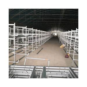 <span class=keywords><strong>Cage</strong></span> de piles à poulet multicouches de haute qualité, cadre type H, populaire, pour piles - Product Image 4