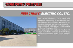 DJ7081Y-2.<span class=keywords><strong>3</strong></span>-21 クイック燃料コネクター 8P メス型 自動車用コネクター 防水コネクター - Product Image 6