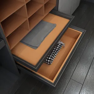 PA模块化定制木制设计现代卧室衣柜