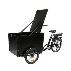 KUAKE Nouveau style 250W Vélo cargo <span class=keywords><strong>hollandais</strong></span> à chargement frontal à <span class=keywords><strong>3</strong></span> <span class=keywords><strong>roues</strong></span> pour usage familial, vélo cargo électrique pour la livraison - Product Image 5