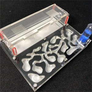 Granja de Hormigas de Gran Tamaño, Cuadrada, 20 x 15 x 1.5 cm, con Área de Forrajeo - Product Image 2