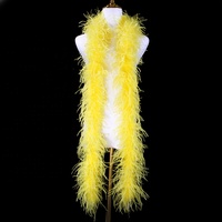 Vente en gros de boas en plumes d'autruche de 16 couleurs, 9-11 cm, 5 plis, 2 m, duveteux, pour la couture de robes, les costumes, la création de mode, la décoration
