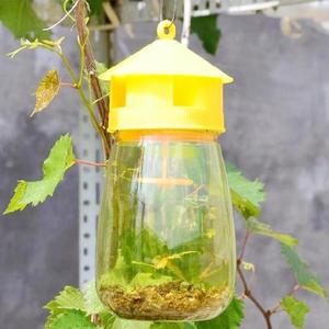 <strong>Best</strong>-Selling Plastic Hanging Reusable <strong>Fly</strong> Trap Bottle <strong>Fly</strong> <strong>Killer</strong> Catchers Traps Pest Control Targeting Apple Moth - Product Image 1