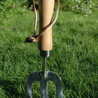 Esschert Design 100% FSC Manche en bois de frêne de haute qualité en acier inoxydable Râteau à main Fourche