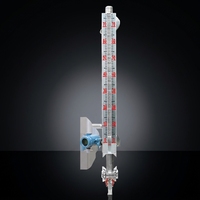 Jauge de niveau à clapet magnétique en acier inoxydable haute précision personnalisable pour la mesure du niveau d'eau dans les liquides conducteurs 0~10m