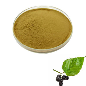 ผงใบมัลเบอร์รี่สกัดจากใบหม่อนธรรมชาติบริสุทธิ์<span class=keywords><strong>100</strong></span>% จำนวนมาก - Product Image 1