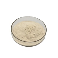 Additif alimentaire Bacillus Coagulans de qualité alimentaire Bacillus Coagulans probiotiques