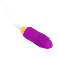 App-gesteuerter Tragbarer Slip-Vibrator, Ferngesteuertes Vibrations-Ei, Leiser Klitoris-Stimulator, Erotikspielzeug für Frauen