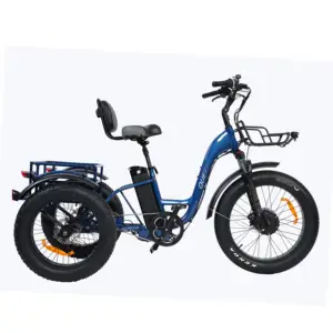 Queene/yetişkin 3 tekerlekli elektrikli bisiklet kargo ön motor moped elektrikli pedelec bisiklet