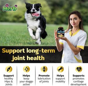 Suplemento para Cadera y Articulaciones para Perros de Marca Privada OEM/ODM - Masticables Blandos Sin Granos de Rápida Absorción para Cadera y Articulaciones - Product Image 4