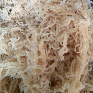 Algues séchées du Vietnam Eucheuma Cottonii \ Mousse de mer de qualité supérieure pour l'industrie alimentaire et cosmétique - Product Image 1