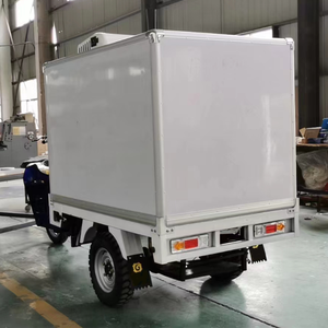 Triciclo Pequeño de Carga Refrigerado para Transporte a Combustible, Mini <span class=keywords><strong>Furgoneta</strong></span> Triciclo - Product Image 6