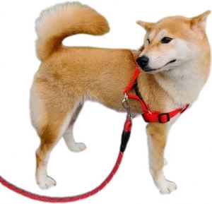 Customizable Explosion-proof Reflective Dog Leash Pet Leash Pet Accessories Adjustable Nylon Pet Dog Chest and Back <b>Harness</b> - Product Image 1