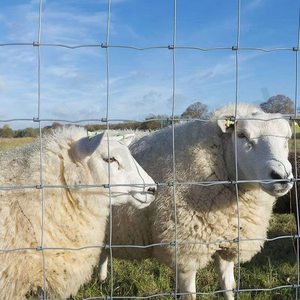 2026 Hot Wholesale Yuking YK Square Hole Galvanized Iron Welded <b>Mesh</b> Fence for Cattle/Sheep/Field/Deer Livestock Farm Use - Product Image 6