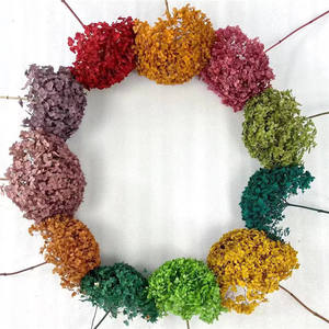 Arreglo <span class=keywords><strong>de</strong></span> flores <span class=keywords><strong>de</strong></span> hortensia Anna preservado natural hecho a mano precio <span class=keywords><strong>de</strong></span> fábrica para el día <span class=keywords><strong>de</strong></span> la madre - Product Image 1