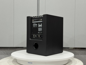 Système de haut-parleurs DJ avec impédance de 8ohm pour Bluetooth Neodymium Magnet Party Box pour une qualité sonore parfaite - Product Image 3