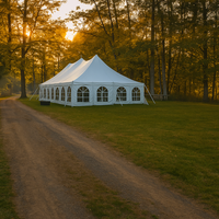 Tente à cadre en aluminium 30x50 Tente de fête de mariage en aluminium à dessus transparent en PVC imperméable de haute qualité