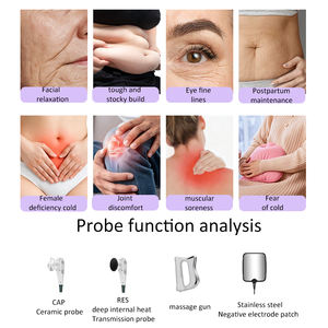 جهاز العلاج الفيزيائي تيكار 448 كيلوهرتز، جهاز تيكار للعلاج الضوئي، جهاز علاج بيطري - Product Image 2