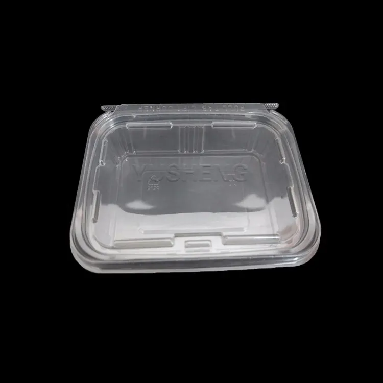 Di plastica usa e getta da asporto contenitore di plastica per alimenti contenitore