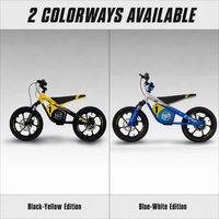 Vélo de course pour enfants en gros, mini moto tout-terrain avec fourche à suspension avant, moteur brushless 653W, cadre en alliage d'aluminium, directement de l'usine