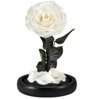 Cadeaux pour la fête des mères Fleurs de roses éternelles naturelles faites à la main Roses préservées éternelles dans un dôme en verre pour maman, femme et petite amie