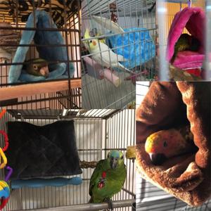 <span class=keywords><strong>Lit</strong></span> <span class=keywords><strong>d</strong></span>'hiver pour oiseaux, hamac en peluche chaud pour cages à oiseaux et perroquets, tente-cabane suspendue, accessoires pour l'éclosion des oiseaux - Product Image 5