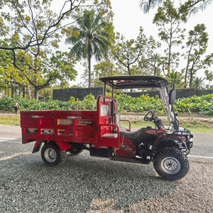 Triciclo de Gasolina 2024 Nuevo 200cc 250cc 300cc 4x4 Todoterreno Motocicleta de Cuatro Ruedas Todoterreno Motor Agrícola Motocicleta de Cuatro Ruedas Quad <span class=keywords><strong>Moto</strong></span> en Venta Triciclo de Gasolina - Product Image 1