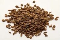 Indiase exporteur van rauwe gedroogde AD Ajwain zaden, geel, sterke smaak, specerij voor keuken, restaurant, catering, 1000kg MEGH EXIM