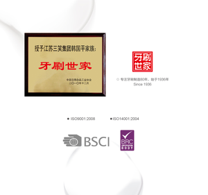 Caja de regalo personalizada de alta gama paquete único cepillo de dientes cómodo manual para niños adultos - Product Image 6