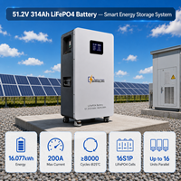 Batterie solaire au lithium LiFePO4 de qualité A 51,2 V 314 Ah pour stockage d'énergie domestique 16 kWh 5 kWh avec BMS intelligent CAN RS485 16 parallèles