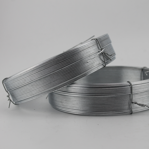 Alambre de jardín/Alambre de araña/Alambre de encuadernación galvanizado - Product Image 2