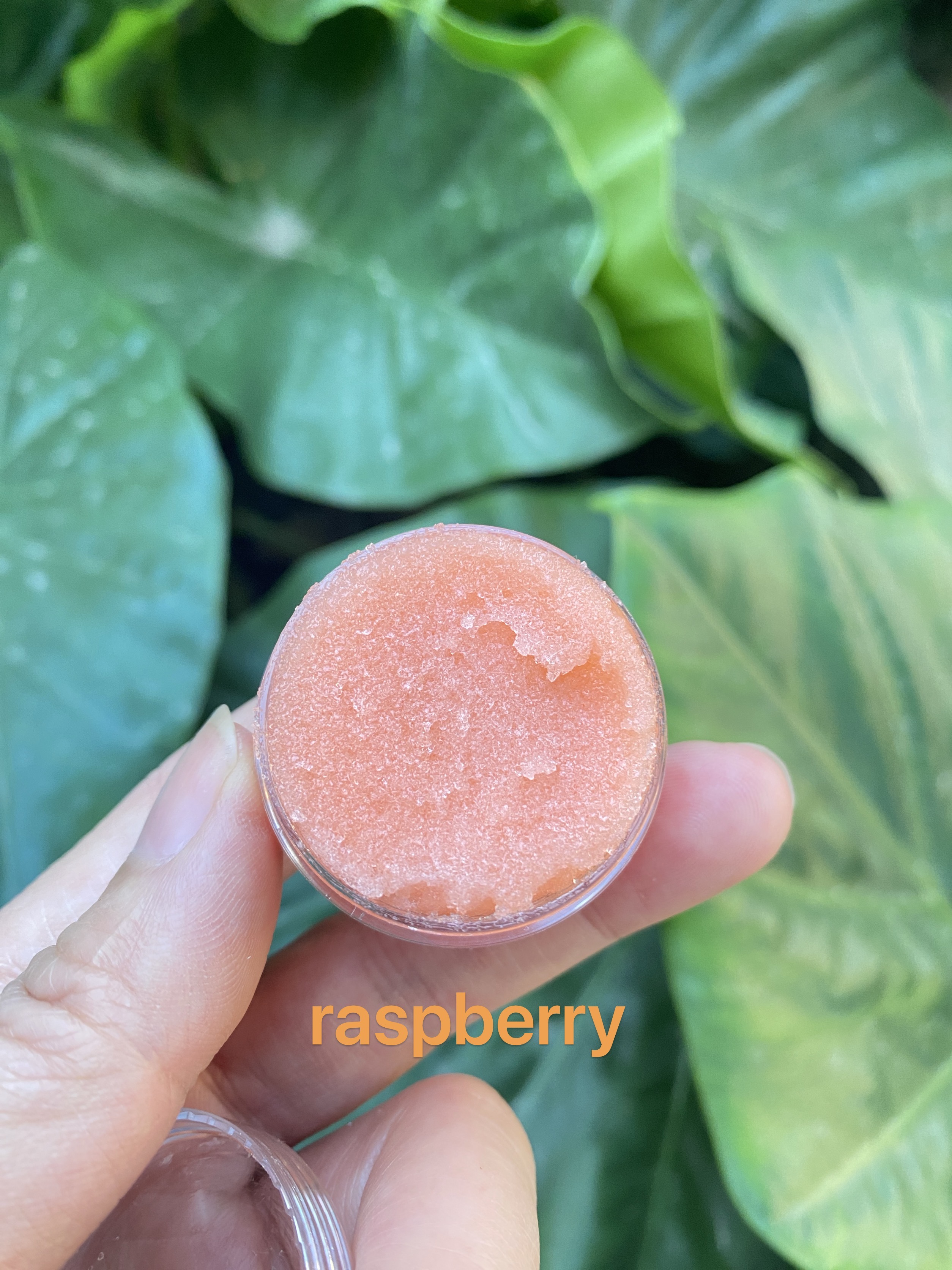 raspberry