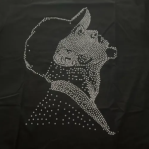 Applicazione Termoadesiva Personalizzata con Strass di <span class=keywords><strong>Raymond</strong></span> e Chris Brown per Magliette - Product Image 5