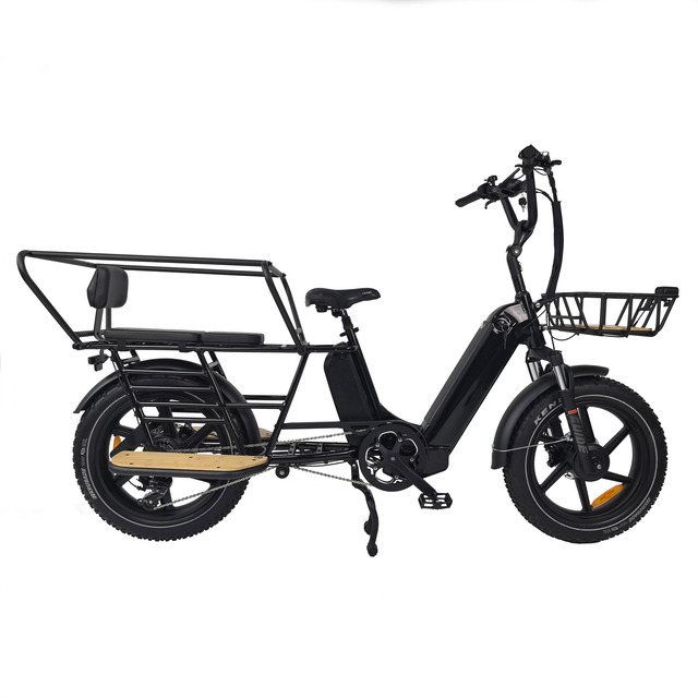 OEM Long Tail Cargo Electric Bicycle 250W Dual Motor Lithium Battery E Bicycle Hydraulic Disc Brake  7speed E Bike