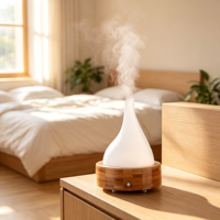 Diffuseur d'arômes ultrasonique de bureau, lumière nocturne colorée, machine à parfum aux huiles essentielles, humidificateur d'aromathérapie domestique