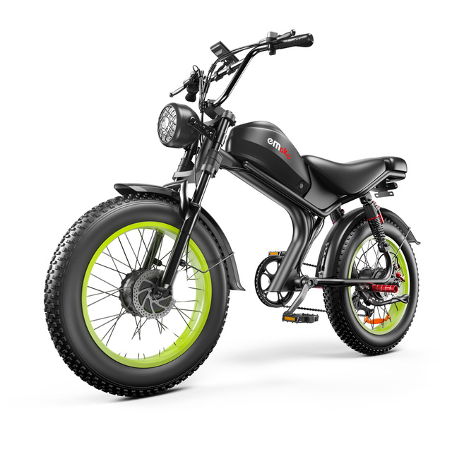 C93 48V 2000W Dual Double Motor Electric Bike
