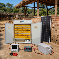 Incubadora Solar de Microcomputadora BeYou, Nueva y Popular, para 2112 Huevos de Gallina, Máquina Incubadora con Alta Productividad