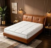 Matelas de lit double King Queen pour hôtel, emballé en boîte, matelas en mousse à mémoire de forme et latex, Matratze